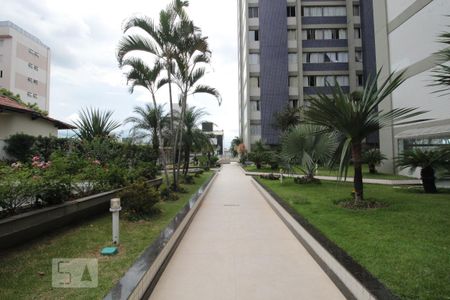 Apartamento para alugar com 2 quartos, 80m² em Calafate, Belo Horizonte