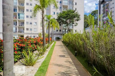 Apartamento à venda com 63m², 3 quartos e 1 vagaÁrea Externa 