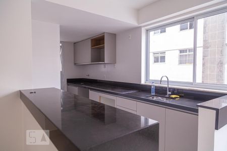 Cozinha/Lavanderia de apartamento para alugar com 2 quartos, 70m² em Funcionários, Belo Horizonte