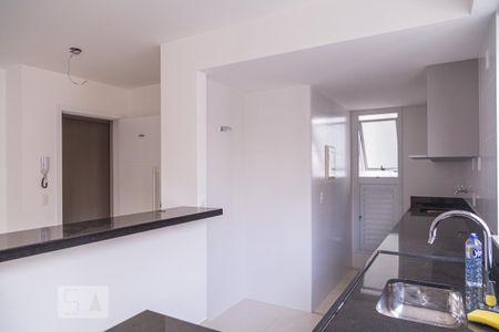 Cozinha/Lavanderia de apartamento para alugar com 2 quartos, 70m² em Funcionários, Belo Horizonte