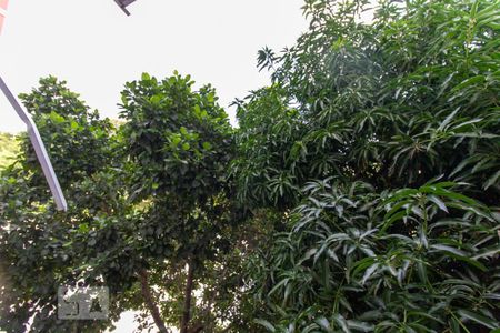 Vista de apartamento para alugar com 1 quarto, 30m² em Centro, Rio de Janeiro