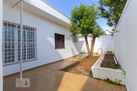 Casa para alugar com 253m², 4 quartos e 2 vagasQuintal
