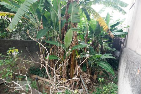 Casa à venda com 350m², 3 quartos e 1 vagaQuintal