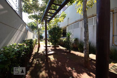 Apartamento para alugar com 64m², 2 quartos e 1 vaga Apartamento para alugar com 64m², 2 quartos e 1 vagaEspaço Pet