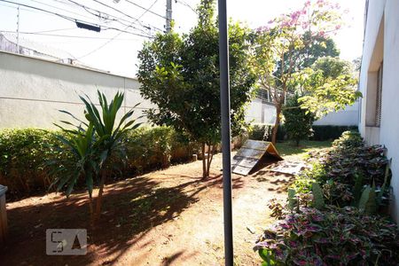 Apartamento para alugar com 64m², 2 quartos e 1 vaga Apartamento para alugar com 64m², 2 quartos e 1 vagaEspaço Pet