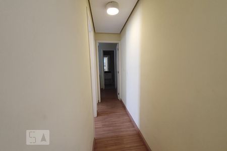 Corredor de apartamento para alugar com 2 quartos, 54m² em Bela Aliança, São Paulo