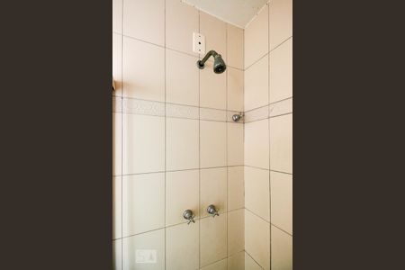 Apartamento para alugar com 64m², 2 quartos e 1 vaga Apartamento para alugar com 64m², 2 quartos e 1 vagaChuveiro - Banheiro