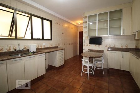 Apartamento para alugar com 235m², 3 quartos e 2 vagasCozinha