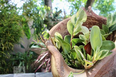 Casa de condomínio à venda com 230m², 3 quartos e 3 vagasÁrea comum