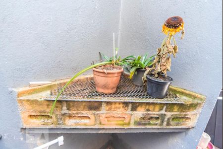 Casa à venda com 114m², 2 quartos e 2 vagasChurrasqueira