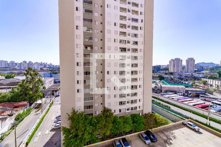 Apartamento para alugar com 46m², 2 quartos e sem vagaLavanderia