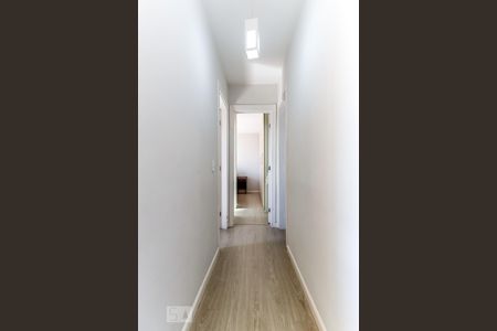 Corredor Quartos de apartamento para alugar com 2 quartos, 54m² em Vila Guilherme, São Paulo