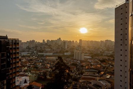 Apartamento à venda com 500m², 5 quartos e 5 vagasVista da Suite 1