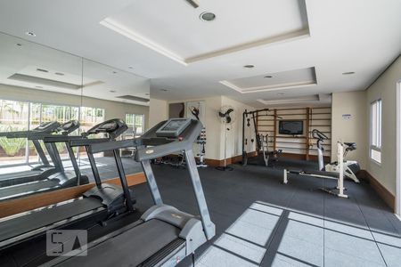 Apartamento para alugar com 50m², 2 quartos e 1 vaga Apartamento para alugar com 50m², 2 quartos e 1 vagaÁrea Comum - Academia