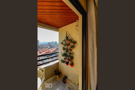 Varanda da Sala de apartamento à venda com 3 quartos, 85m² em Vila Tijuco, Guarulhos