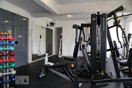 Apartamento à venda com 49m², 2 quartos e 1 vagaÁrea comum - Academia