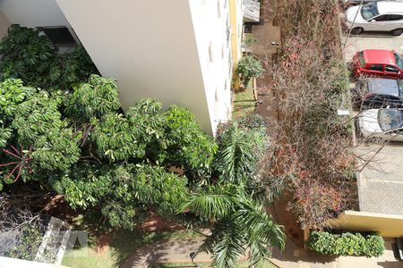 Vista do quarto 1 de apartamento para alugar com 2 quartos, 49m² em Fazenda Morumbi, São Paulo