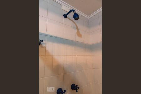 Apartamento para alugar com 180m², 5 quartos e 2 vagasChuveiro