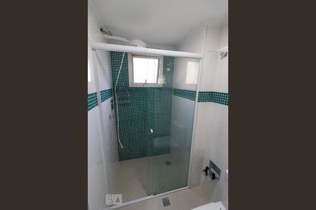 Banheiro de apartamento para alugar com 2 quartos, 60m² em Vila Indiana, São Paulo