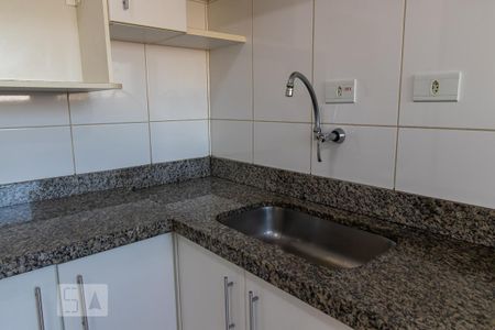 Cozinha - Pia de apartamento para alugar com 2 quartos, 60m² em Vila Indiana, São Paulo