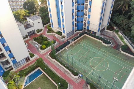 Área comum - Quadra de apartamento para alugar com 2 quartos, 60m² em Vila Indiana, São Paulo