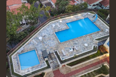 Área comum - Piscina de apartamento para alugar com 2 quartos, 60m² em Vila Indiana, São Paulo