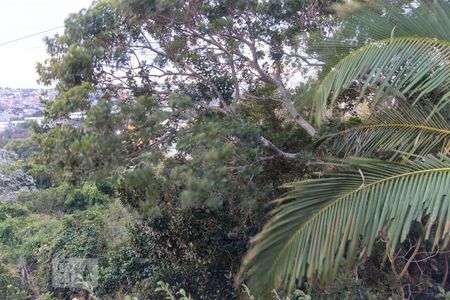 Casa à venda com 450m², 4 quartos e 4 vagasVista do Quarto 1