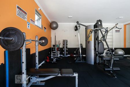 Apartamento para alugar com 72m², 3 quartos e 2 vagas Apartamento para alugar com 72m², 3 quartos e 2 vagasÁrea comum - Academia