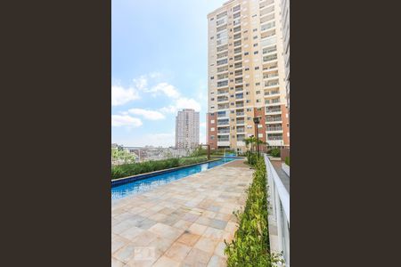 Apartamento à venda com 55m², 2 quartos e 1 vagaArea Comum Piscina