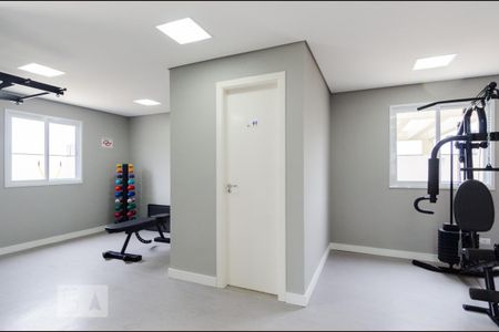 Apartamento para alugar com 55m², 2 quartos e 1 vaga Apartamento para alugar com 55m², 2 quartos e 1 vagaÁrea comum - Academia