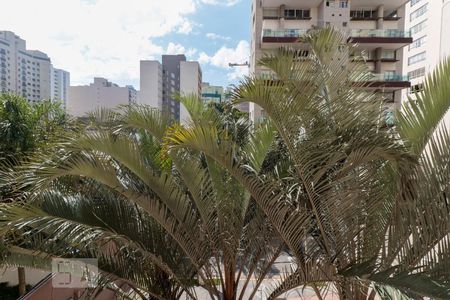 Vista de apartamento para alugar com 1 quarto, 31m² em Paraíso, São Paulo