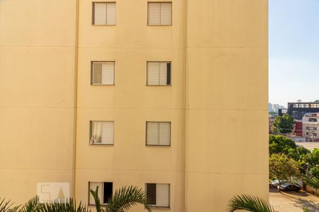 Apartamento para alugar com 49m², 2 quartos e 1 vagaVista do Quarto 1