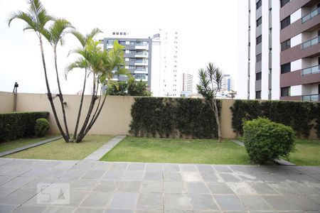 Apartamento para alugar com 44m², 1 quarto e sem vagaVista