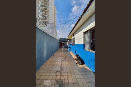 Casa à venda com 240m², 3 quartos e 5 vagasQuintal/oficina