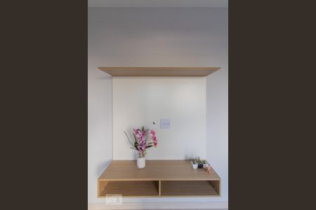 Detalhe - Sala de apartamento para alugar com 1 quarto, 30m² em Vila Medeiros, São Paulo
