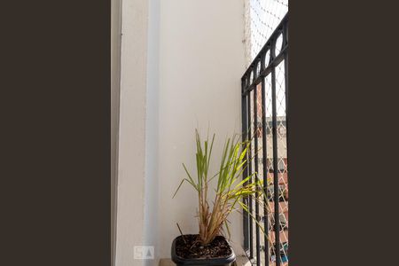 Varanda de apartamento à venda com 3 quartos, 69m² em Vila da Saúde, São Paulo