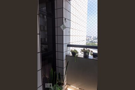 Sala - sacada de apartamento à venda com 3 quartos, 135m² em Baeta Neves, São Bernardo do Campo