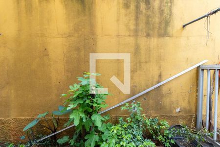 Casa à venda com 332m², 4 quartos e 8 vagasVista da Cozinha