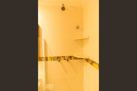 Banheiro de apartamento para alugar com 1 quarto, 35m² em Jardim Paraíso, São Paulo