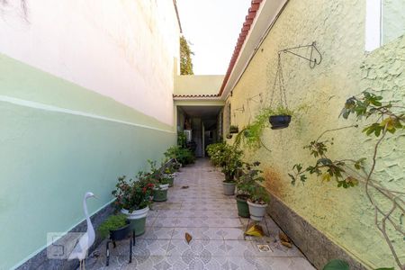 Casa de condomínio para alugar com 30m², 1 quarto e sem vagaÁrea comum