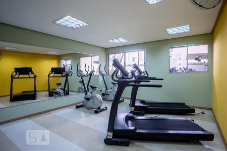 Apartamento à venda com 95m², 3 quartos e 1 vaga Apartamento à venda com 95m², 3 quartos e 1 vagaÁrea comum - Academia