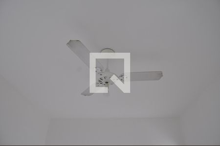 Quarto  de apartamento para alugar com 1 quarto, 55m² em Riachuelo, Rio de Janeiro