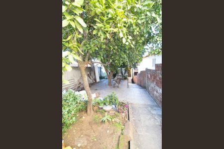 Casa à venda com 297m², 1 quarto e sem vagaÁrea Externa