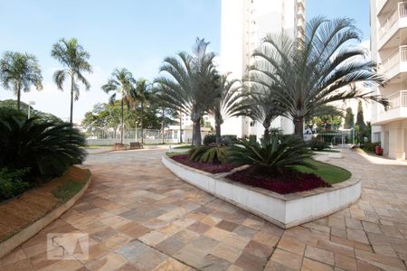 Apartamento para alugar com 82m², 3 quartos e 2 vagasÁrea comum