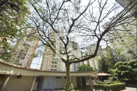 Apartamento para alugar com 54m², 2 quartos e 1 vagaÁrea comum - padaria