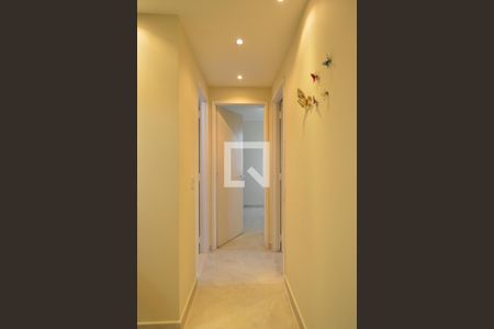 Corredor de apartamento para alugar com 2 quartos, 54m² em Belenzinho, São Paulo