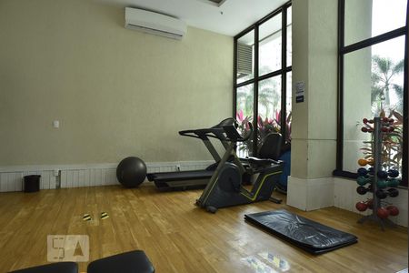 Apartamento para alugar com 72m², 3 quartos e 1 vagaÁrea comum - Academia