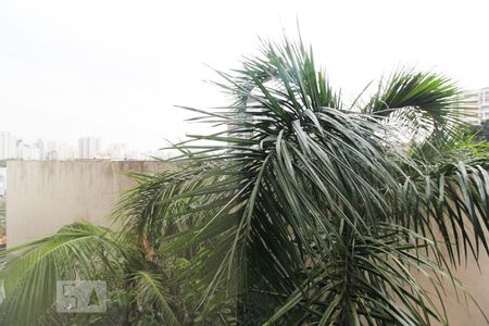 Vista da Varanda da Sala/Quarto  de kitnet/studio para alugar com 1 quarto, 26m² em Indianópolis, São Paulo