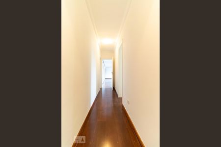 Apartamento para alugar com 167m², 4 quartos e 2 vagas Apartamento para alugar com 167m², 4 quartos e 2 vagasCorredor