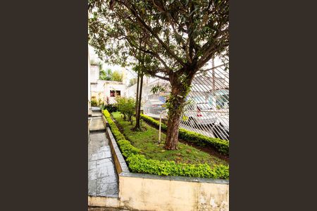 Apartamento para alugar com 56m², 2 quartos e sem vaga Apartamento para alugar com 56m², 2 quartos e sem vagaÁrea comum